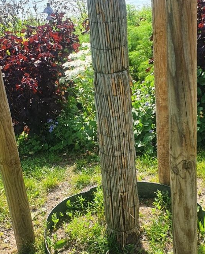 Sichtschutz/ Baumschutz Bambus auf Rolle 0,90 h x 3,00 l