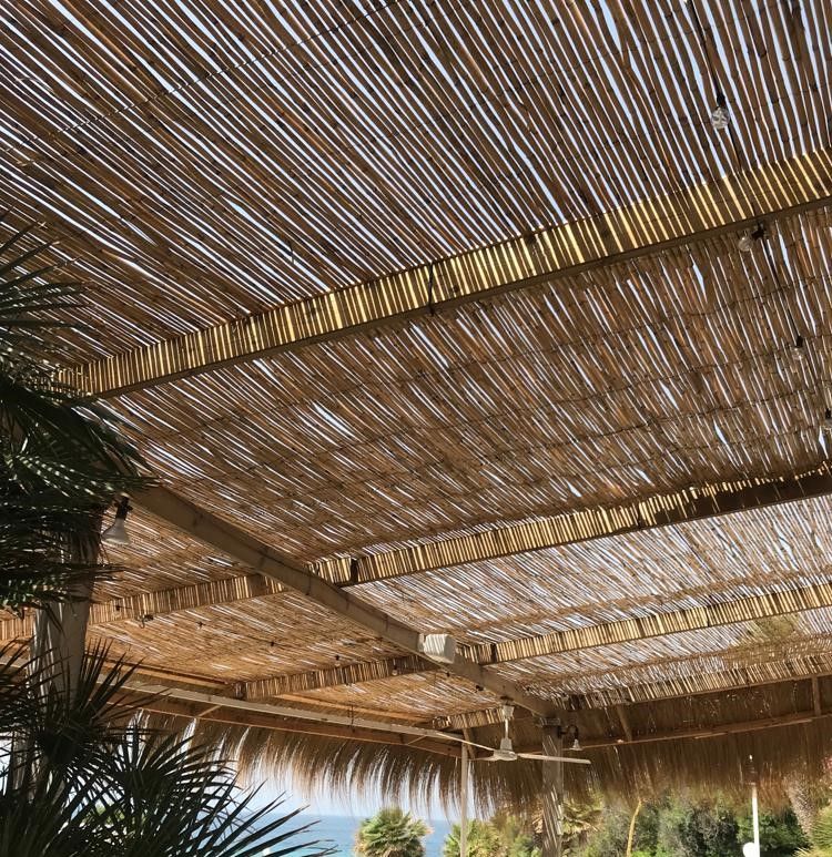 Sichtschutz/ Baumschutz Bambus auf Rolle 0,90 h x 3,00 l