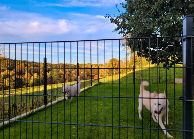 25 m Gartenzaun Doppelstabmattenzaun 163 h Stärke 868